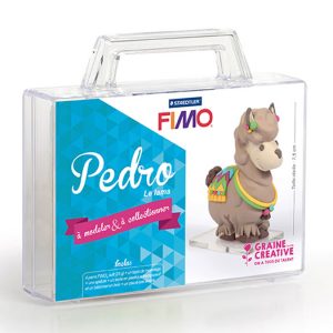 Emooqi Pâte Polymère, 50 Couleurs Pate Fimo Kit d'argile à Modeler avec  Livre, Moule, Outils et Accessoires Bijoux, Kit d'Artisanat Bricolage  Cadeaux pour Enfant : : Jeux et Jouets